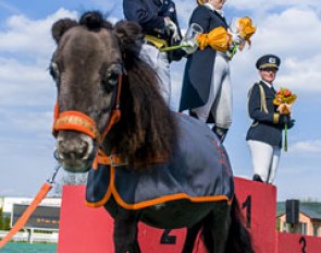 The smallest pony in Poland in front of the Inter I kur to music podium with Martin Christensen, Ewa Hamkalo, and Zaneta Skowronska