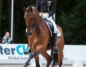Sönke Rothenberger and Cosmo at the 2015 CDIO Rotterdam :: Photo © Focussed.nl
