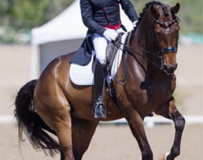 Steffen Peters and Rosamunde at the 2015 CDI San Juan Capistrano :: Photo © Terri Miller