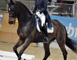 Isabella Tovek and Connery at the 2015 CDI Stadl Paura :: Photo © Rainer Dill