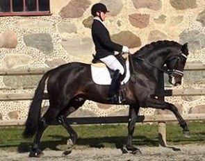 Fairway (by Floricello x Sandro Hit x Rohdiamant)