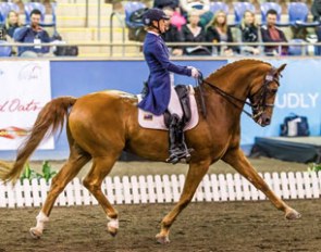 Julie Brougham and Vom Feinsten at the 2015 Australian Championships Sydney CDI-W :: Photo © Stephen Mowbray