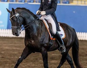 Brett Parbery and DP Weltmieser win the 2015 Australian Dressage Championships :: Photo © Stephen Mowbray