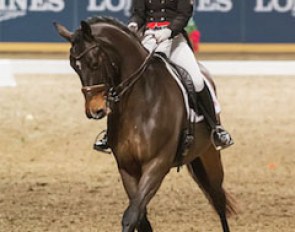 Belinda Trussell and Anton competing in the Invitational Dressage Cup at 2015 Toronto Royal Horse Show :: Photo © Ben Radvanyi Photography