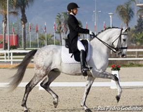 Sarah Warne and Batialo competing in the first international small tour class representing Australia at the 2015 CDI Valencia :: Photo © Rui Pedro Godinho