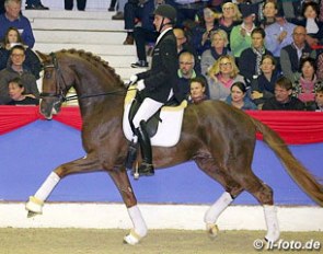 Andreas Helgstrand on Don Deluxe (by De Niro x Rosario) at the 2015 Oldenburg Althengst Parade :: Photo © LL-foto