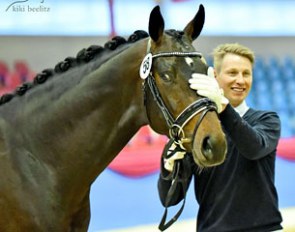 David Taylor and Boreas, the surprise champion of the 2015 Oldenburg Saddle Licensing :: Photo © Kiki Beelitz