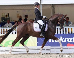 Wibke Hartmann-Stommel and Blickfang HC at the 2015 Hanoverian Young Horse Championships in Verden :: Photo © LL-foto