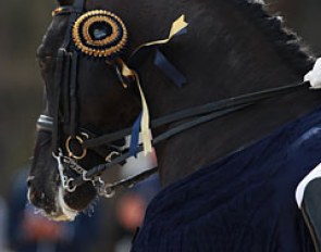 Deveraux OLD with the Vidauban ribbon
