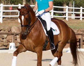 Bernadette Brune and Lights of Londonderry at the Domaine Equestre des Grands Pins :: Photo © Rui Pedro Godinho