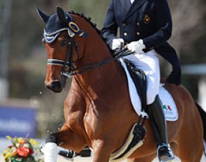 Jef Coenegrachts on Bernadette Brune's Deborah (by Florestan x Delphi)