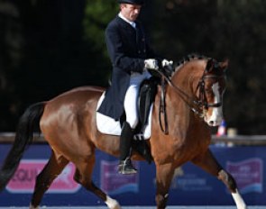 Jean François Combecave on the former French Young Horse champion Django de Charry (by Dancier x Londonderry)
