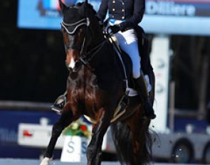 Alexandra Dilliere on the Dutch bred Binky (by Painted Black x Caprimond)