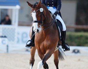Alexandra Dilliere on the Dutch bred Vockacara (by Obsession x Animo)