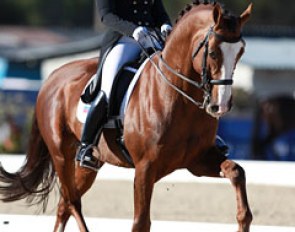 Tatiana Dorofeeva on Upperville