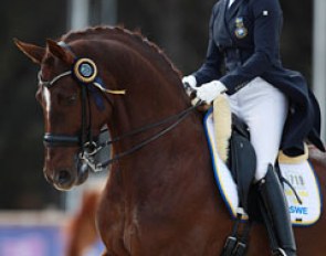 Jeanna Hogberg on Duendecillo P (by Don Romantic)