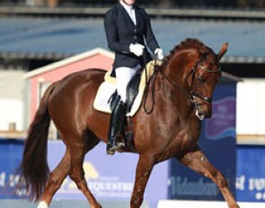 Jeanna Hogberg on the 5-year old Swedish warmblood Springbank VH (by Skovens Rafael x De Niro)