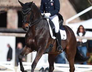 Jean François Lagarde on Diamond Choice ZF (by Diamond Hit x Koenigsstuhl)