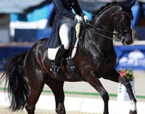 Franka Loos on the lovely mare GG Flow Cadanza (by Florencio)