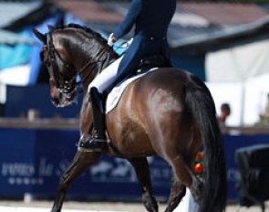 Jeanine Nekeman on Vlingh
