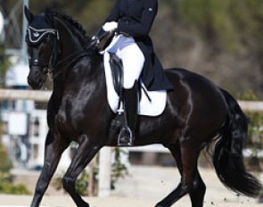 Danish Olivia Nistrup Lamm on San Dior (by Sandro Hit x Davignon)