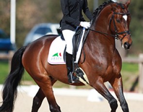 Ukrainian Anastasiya Pavelko on Bernadette Brune's Trakehner stallion Kasimir TSF at the 2015 CDIO Vidauban :: Photo © Astrid Appels