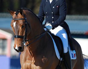 Bertille Pelardy on the Hanoverian bred Hilary Saint H (by Herzensdieb x Acorado)-