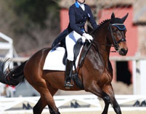 Matilde Pirazzini on Waronia L (by Sir Sinclair x Florestan)