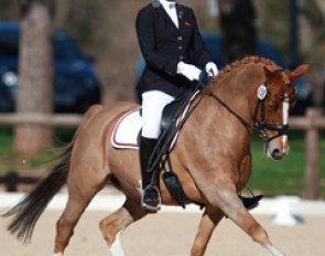 Lana Raumanns and Den Ostriks Dailan at the 2015 CDIO Vidauban :: Photo © Astrid Appels