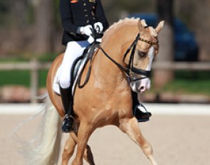 Semmieke Rothenberger on Deinhard B