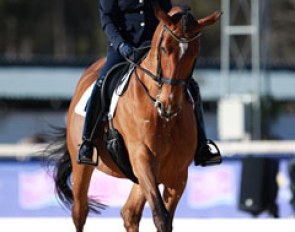 Esther Soldi on Harmonia