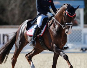 Turkish Lina Uzunhasan on her second ride, Donnatella (by Status Quo x Clavecimbel)