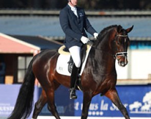 Mario van Orshaegen on the Oldenburg stallion San Amour II (by Sandro Hit x Plaisir d'Amour)