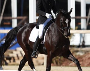 Aleksander Zhogin on Don Perignon (by Don Frederico x Metternich)