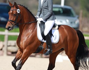 Irina Zhogina on Ithaka (by Midt-West Ibi-Light x Diamant x Lavallo)