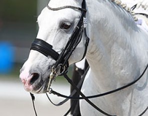 The Grand Prix winner, Raquel Falcao's Real
