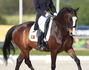 Rita Carneiro on Ulisses