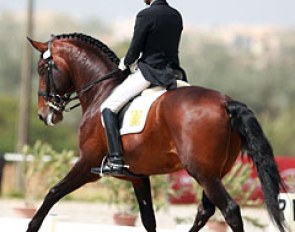 Duarte Nogueira on Beirao