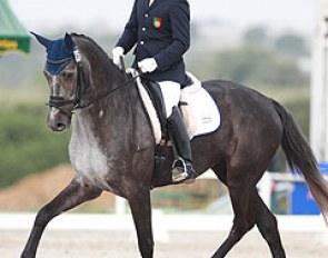 Hugo Pereira won the 5-year old division on the Dutch bred Fiolijn (by Jazz x Democraat), who is owned by the Dutch breeder Hendrik Roelofsen, who lives in Montemor-o-Novo, Portugal :: Photo © Astrid Appels