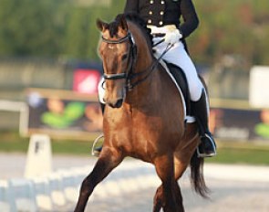 Manuel Vinagre and Almansor at the 2015 CDI Vilamoura :: Photo © Astrid Appels