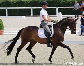 Sweetheart FH, Hanoverian mare by Hohenstein - Rider: Marcus Hermes