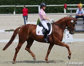 Danza, Hannoveraner mare by Dimaggio x Rubin-Royal - Rider: Julia-Katharina von Platen