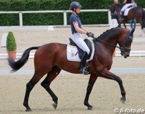 Anja Wilimzig and Rational at the 2015 German selection trial for the World Young Horse Championships :: Photo © LL-foto
