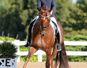 Lisa Wilcox and Gallant Reflection HU at the 2015 U.S. Young Horse Championships :: Photo © Sue Stickle