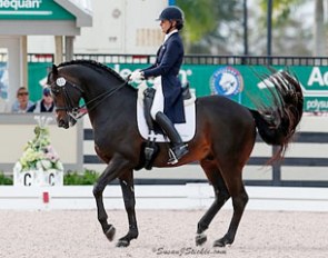 Allison Brock and Rosevelt at the 2015 CDI Wellington :: Photo © Sue Stickle