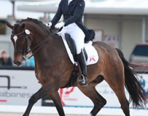 Eliane Cordia-van Reesema on her home bred, 180 cm standing Jewel's Amethyst at the 2015 CDN Wellington :: Photo © Astrid Appels