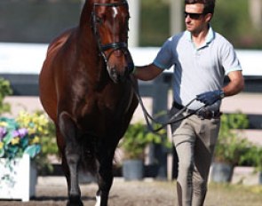 Spanish Jose Daniel Martin Dockx presents his new international Grand Prix horse Bolero CXLVIII for inspection at the 2015 CDI 3/5* in Wellington :: Photo © Astrid Appels