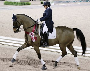 Shelly Francis competes Patricia Stempel’s Doktor (by Diamond Hit)  to place second in the Grand Prix Freestyle at the 2015 Adequan© Global Dressage Festival  USPRE Week :: Photo © Betsy LaBelle 