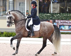 Kerrigan Gluch and Vaquero HGF at the 2015 Global Dressage Festival in Wellington