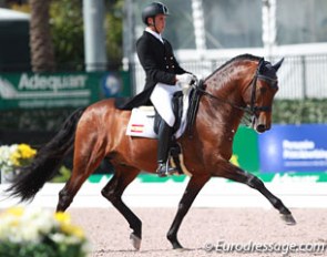 Spanish young rider Pablo Gomez on Escritor de Ymas II :: Photo © Astrid Appels